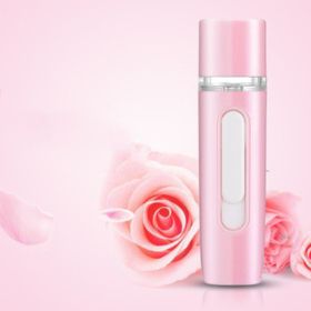 Hand-Held Skin Test Moisturizer Facial Humidifier (Option: 6)